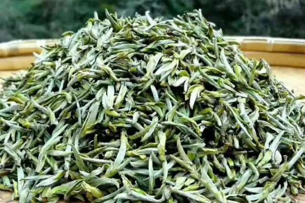 明前茶什麼意思,明前茶說的是什麼茶