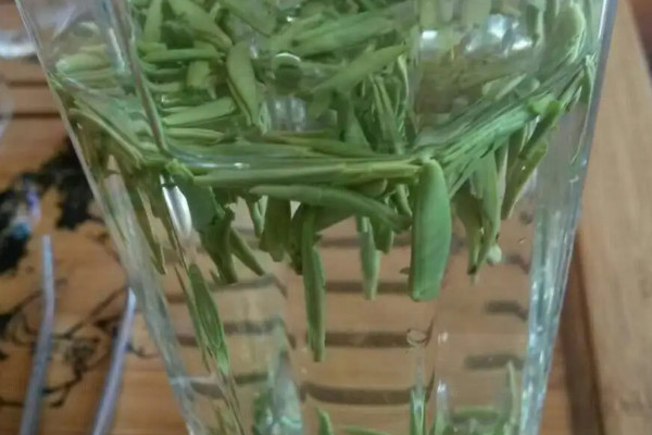 明前茶和雨前茶的區別,雨前茶好還是明前茶好