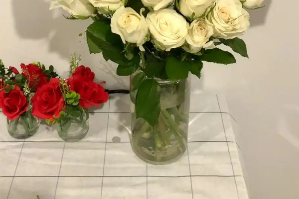 玫瑰花怎麼養水裏可以放幾天