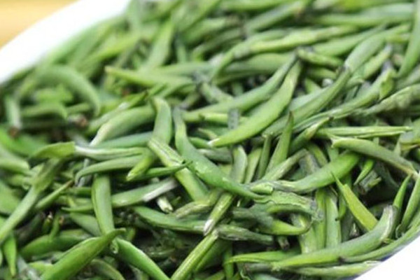 金壇雀舌屬於什麼茶類，金壇雀舌是什麼茶樹