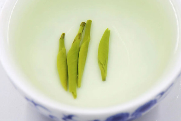 金壇雀舌屬於什麼茶類，金壇雀舌是什麼茶樹