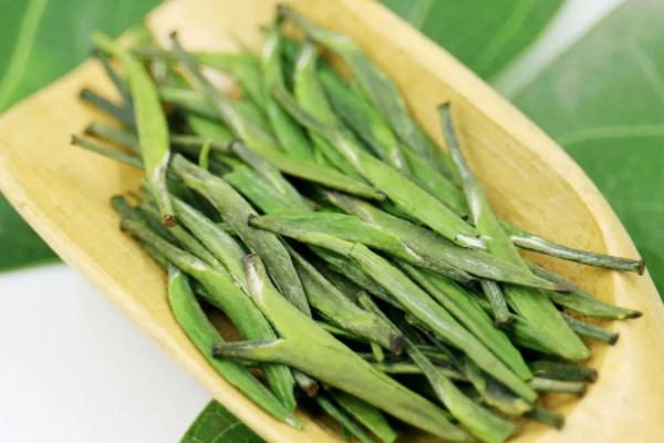 金壇雀舌屬於什麼茶類，金壇雀舌是什麼茶樹