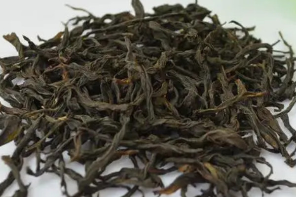鳳凰茶屬於什麼茶,鳳凰名茶屬於什麼茶類