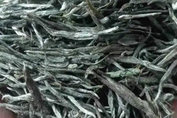 古丈毛尖是哪裏產的,古丈毛尖產地
