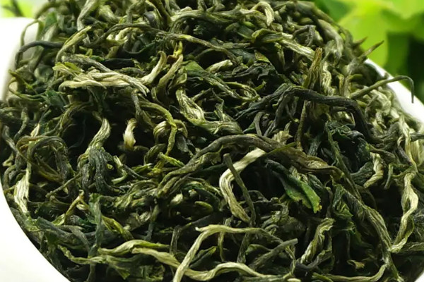 古丈毛尖是什麼茶,古丈毛尖屬於哪種茶