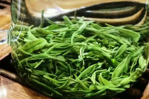 古丈毛尖是什麼茶,古丈毛尖屬於哪種茶