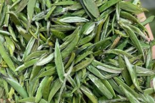 漢中仙毫是啥茶,漢中仙毫是什麼茶葉