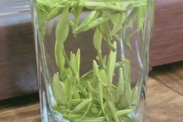 漢中仙毫是紅茶還是綠茶,漢中仙毫屬於什麼茶