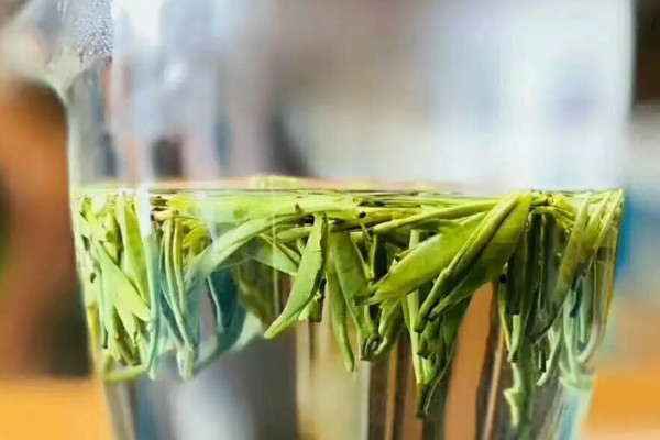 漢中仙毫是紅茶還是綠茶,漢中仙毫屬於什麼茶