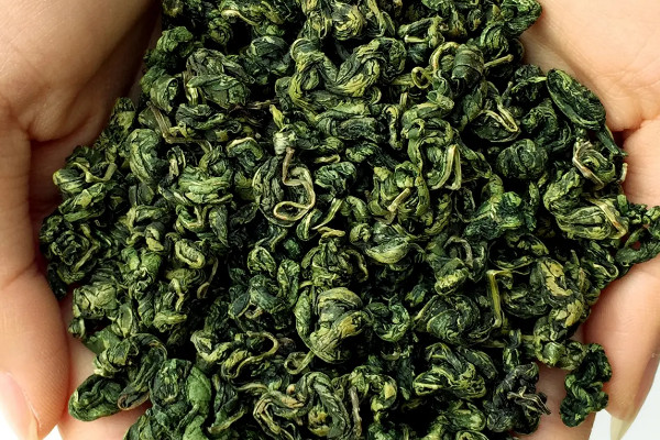 刺五加茶是什麼茶,刺五加茶屬於哪種茶