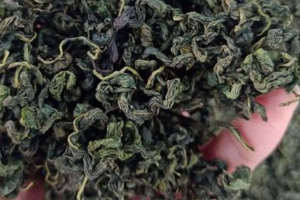 刺五加茶是什麼茶,刺五加茶屬於哪種茶
