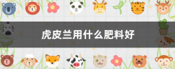 虎皮蘭用什麼肥料好