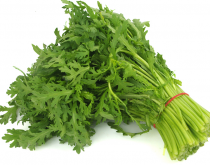 <b>怎麼防治茼蒿病害</b>