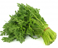 <strong>茼蒿幾月份播種最好？</strong>