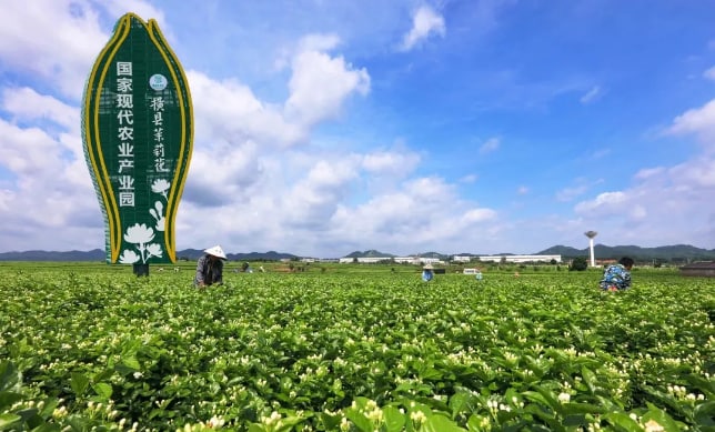 如何搭建完善的農業全產業鏈？