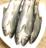 <strong>雲南名產——大理裂腹魚</strong>