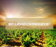 <strong>用什麼肥料能讓農作物快速生根？</strong>