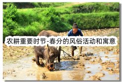 農耕重要時節-春分的風俗活動和寓意