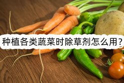 <strong>種植各類蔬菜時除草劑怎麼用？</strong>