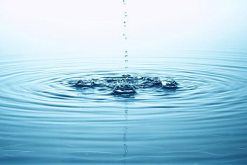 <strong>什麼樣的水質才算是“菌藻平衡”的水體</strong>
