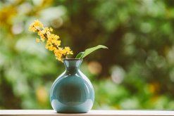 <strong>什麼季節適合栽培桂花，桂花種植和播種的方法有哪些</strong>
