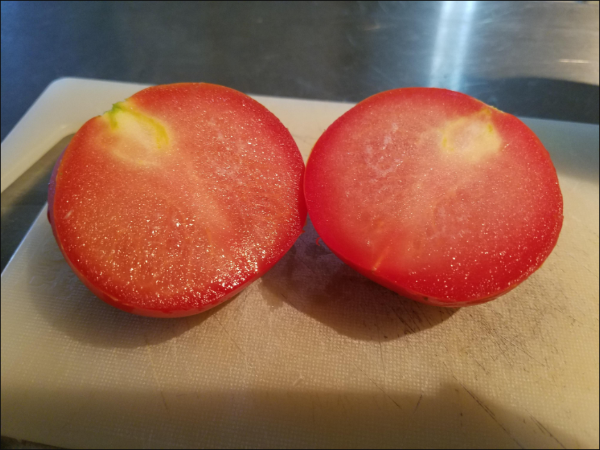 西紅柿無籽的原因是什麼?西紅柿類蔬菜知識