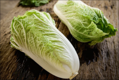 <strong>白菜界“扛把子”新鄉小包23白菜品種特點！</strong>