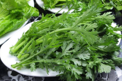 <strong>“蒿之清氣、菊之甘香”又被稱為皇帝菜的茼蒿種植方法！</strong>