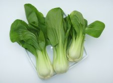 <strong>上海青和油菜的區別有哪些？</strong>