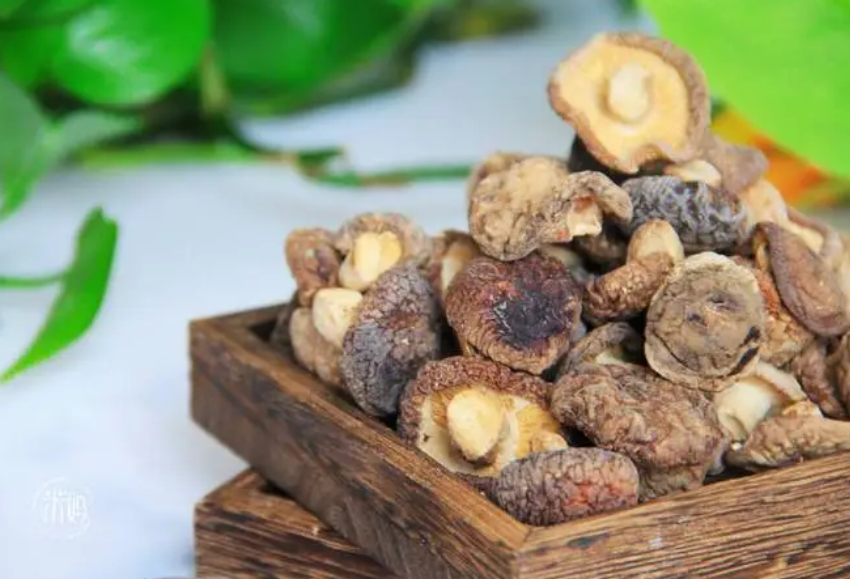 香菇的營養成分是什麼?發黑後還能吃嗎?