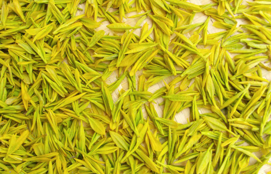 我國常見的黃茶品種有哪些?