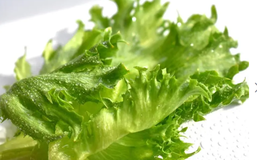 蔬菜類農作物蟲害有哪些?如何防治?
