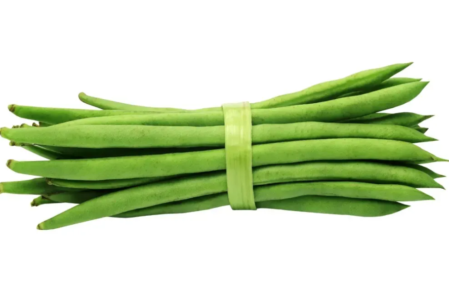 無架豆角是什麼品種?怎麼種植?