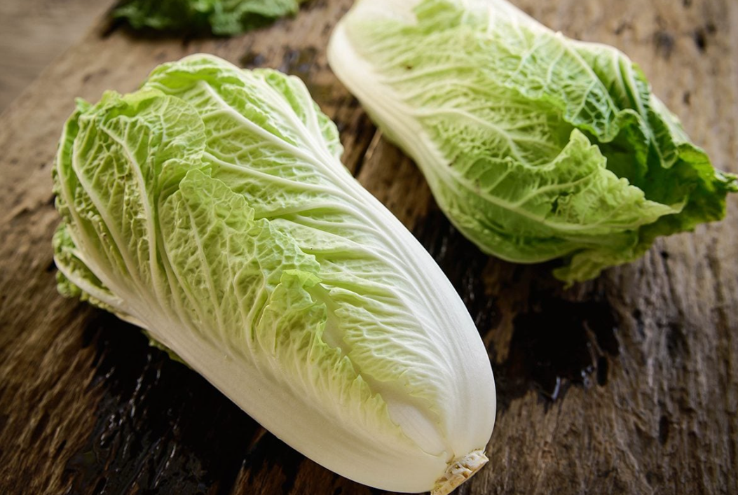 冬季大白菜最佳播種時間?