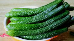 <strong>黃瓜種植如何增產？</strong>