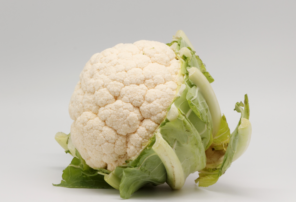 花菜種子幾天能發芽?影響花菜種子發芽的因素有哪些?