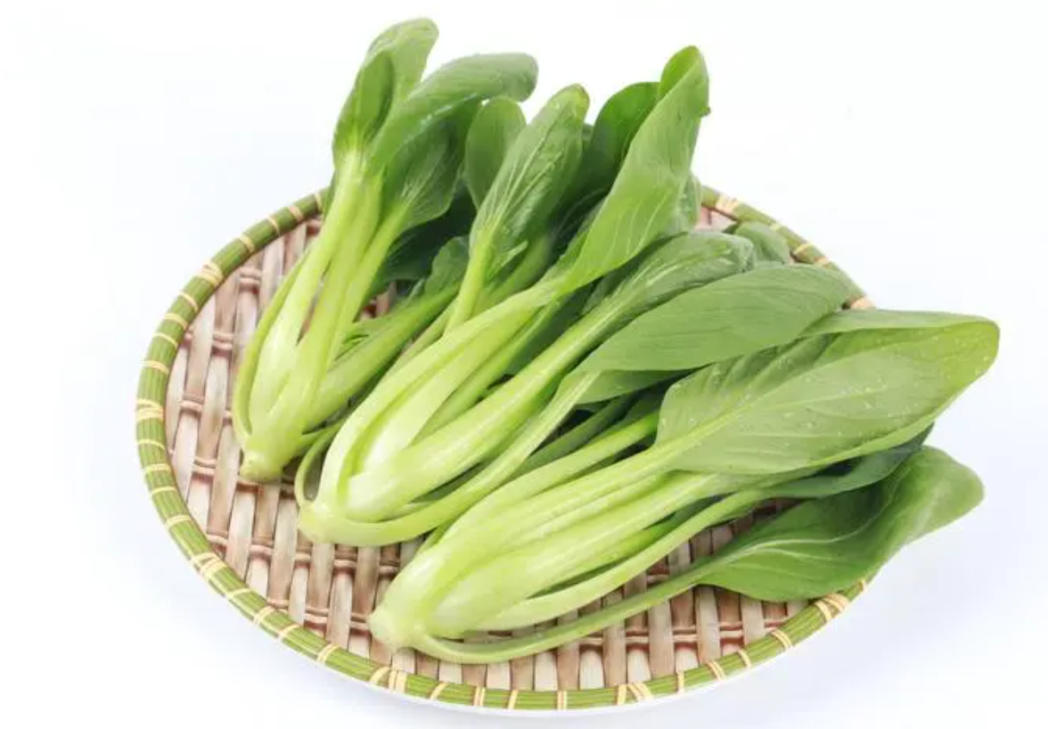油菜是蔬菜嗎?如何種植?