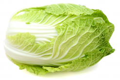 <strong>白菜不包心怎麼辦？</strong>