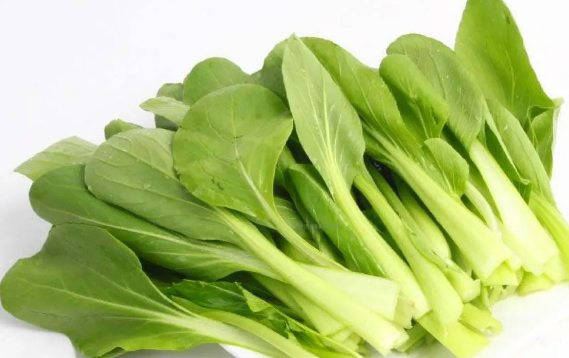小白菜如何防治蟲害?