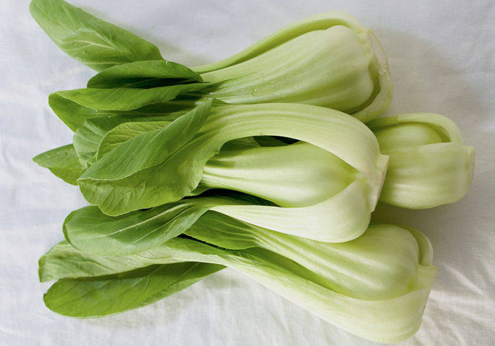 油菜多少天可以移栽?