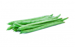 <b>豆角如何種植管理產量高？</b>