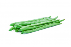 <b>豆角的種植方法和管理技術介紹</b>
