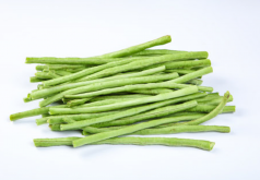 <b>豆角畝產量一般多少斤？</b>