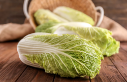 <strong>夏白菜種植技術分享，需要注意什麼？</strong>