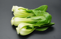 <strong>油菜菌核病特點和危害症狀防治介紹</strong>