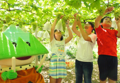 <strong>觀光旅遊葡萄園的概念指的是什麼？</strong>