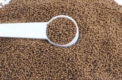 <strong> 魚用濃縮飼料的常見成分和配方是什麼?</strong>