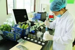 <strong>農藥常用的遺傳毒性檢測方法是什麼？</strong>