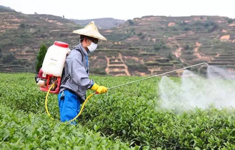 生物刺激劑有哪些？需要注意哪些方麵？