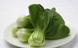<strong>根據葉色給油菜施肥的依據有什麼？</strong>